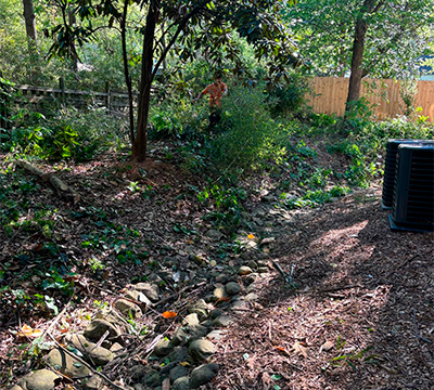 portfolio image 1