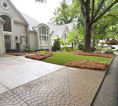 portfolio image 43